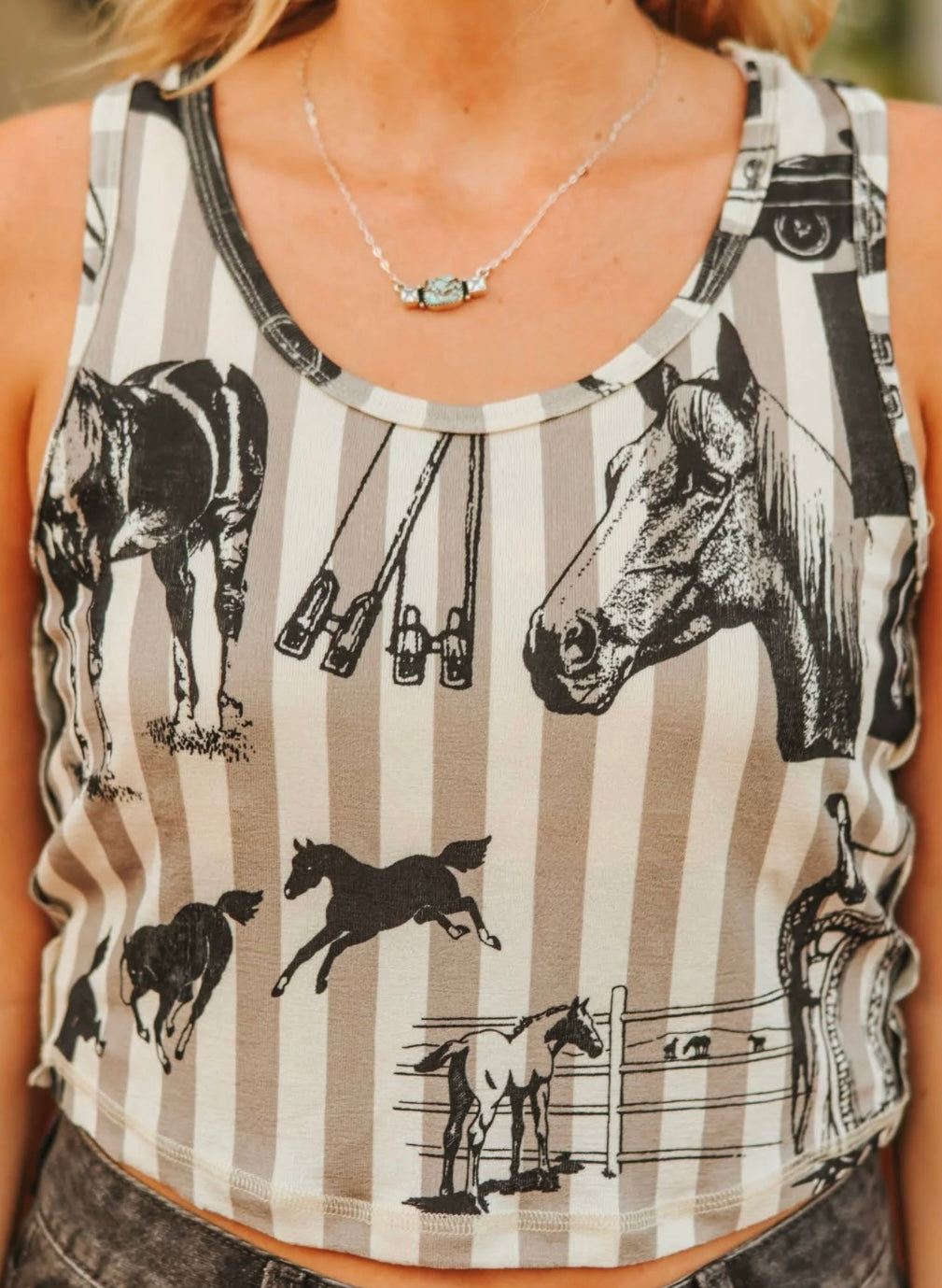Raised Ranchy Tank